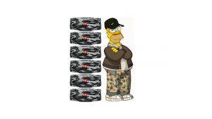 Homer Camouflage.jpg