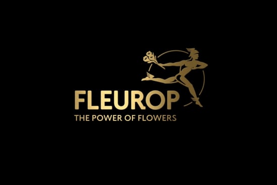 fleurop bons plans fleurop bons plans