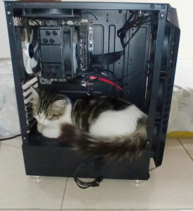 Installing-this-new-RTX-Kitty.jpg