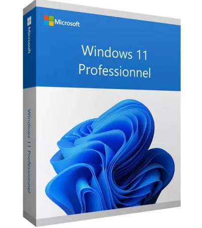 Microsoft Windows 11 Professionnel (Pro) – 64 bits – Lizenz