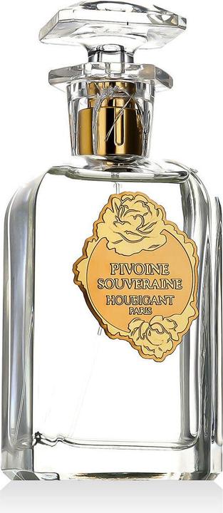 Houbigant Jimmy Choo Acqua Man Edt 100 ml