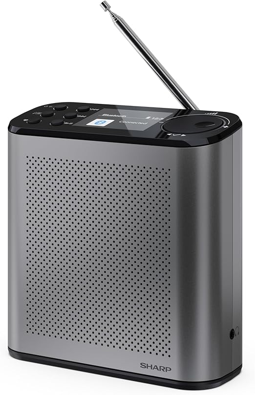 SHARP DR-P530(GY) Osaka Tragbares Digitalradio bei Amazon