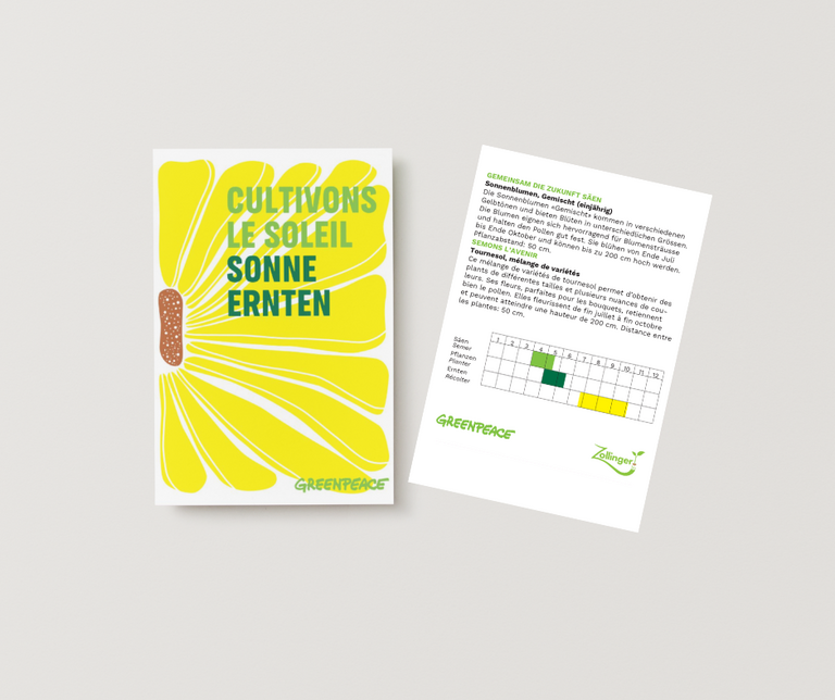 Gratis Bio-Sonnenblumensamen bestellen