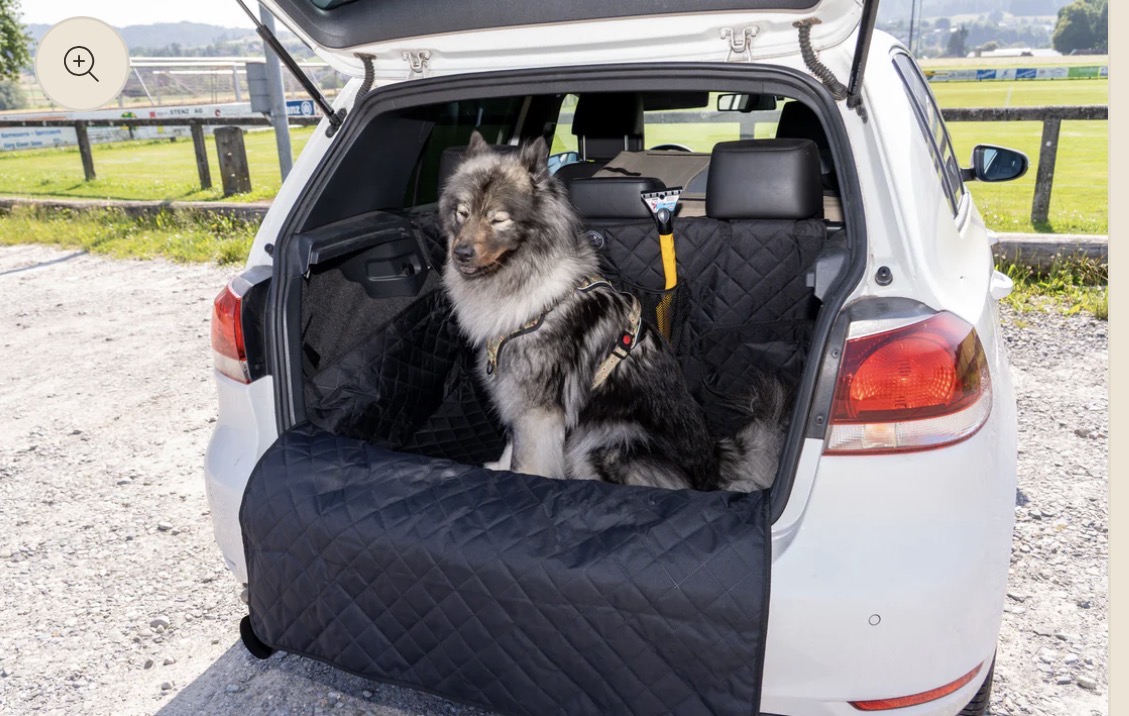 15 bzw. 25% Rabatt auf Hundezubehör