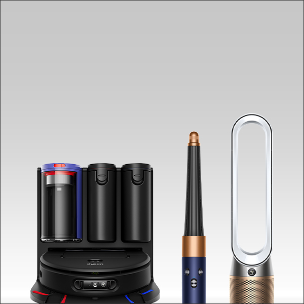 Dyson Weeks – Spare bis zu CHF 220.-