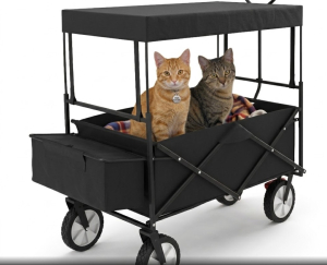 Bollerwagen