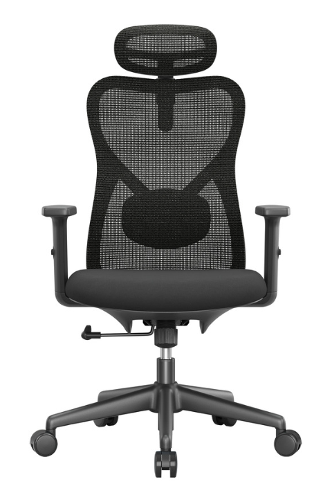 APOLLO Vyra Bürostuhl mit Kopfstütze & verstellbarer Lendenwirbelstütze bei Office World