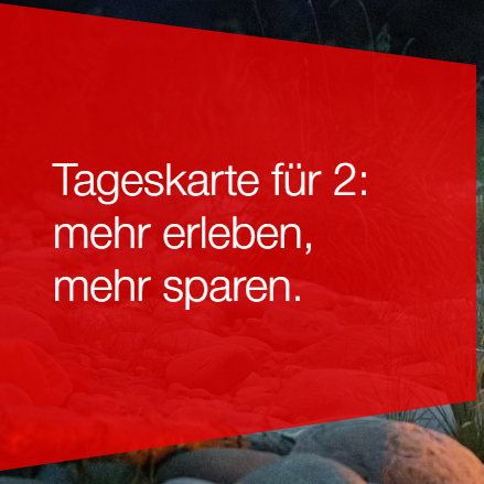 SBB Tageskarte für 2 (CHF 78.- / 128.-)
