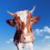 Profilbild von piaem