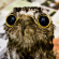 Profilbild von MindHealer