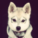 Profilbild von amsl0r