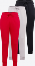 3er Pack Holister Jogginghosen bei About You für nur 32.90 Franken in den Grössen S bis XL