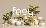 feey 20% Rabatt