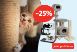 25% Rabatt auf alle Kratzbäume und Kratzbretter - nur heute!