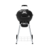 Broil King GEM Premium Holzkohlegrill zum neuen Bestpreis beu Fust