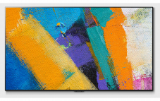 LG TV OLED 55GX6 (Gallery Design + Wandhalterung)