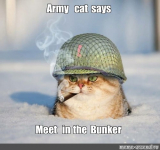 Gratis bei EPIC: Nioh Complete Edition | Sheltered