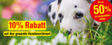 Qualipet: 10% Rabatt auf das ganze Hunde-Sortiment + gratis 500g HARMONY Dog Deluxe Snack Wild ab CHF 30.-