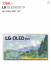 LG OLED65G19