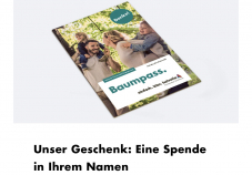 Einen Baum im Schutzwald pflanzen lassen