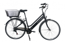 5 verschiedene City E-Bikes mit 417Wh Akkus und 44cm / 52cm Rahmengrösse bei Jumbo (Abholpreis)