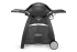 3-Brenner Gasgrill Weber Q3000 zum neuen Bestpreis bei Jumbo (Abholung empfohlen)