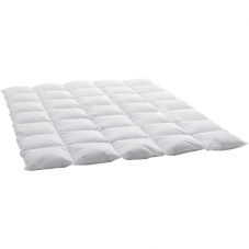 Billerbeck Duvet Daunen 160x210cm