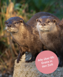 Zoo Basel Gratis Eintritt für Senioren am Dienstag, 21. April