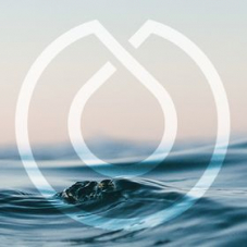 Everdrop - 20% auf alles!