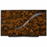 LG OLED77CX6LA bei digitec