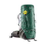 Deuter Aircontact Pro SL 55+15 L Damen Wanderrucksack zum Bestpreis bei Ochsner Sport
