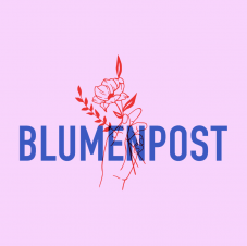 CHF 10.- Rabatt auf Bestellungen ab CHF 55.-