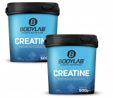 Bodylab: 1kg Creatine Monohydrate für CHF 25.70 inkl. Versand