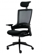 Ergotopia NextBack | Ergonomischer Bürostuhl gegen Rückenschmerzen bei Amazon