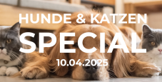 Hunde & Katzen-Special bei DayDeal