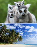 Madagaskar 15 Tage Rundreise mit Flügen, alle Unterkünfte, Transfers, alle Aktivitäten und Frühstück ab CHF 2’724.- p.P.
