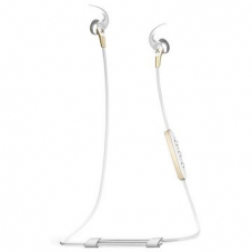 In-Ear Bluetooth-Kopfhörer JAYBIRD Freedom 2, Gold bei digitec für 81.80 CHF