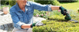 Bis zu 50 % Rabatt auf Gartenmaschinen bei Jumbo