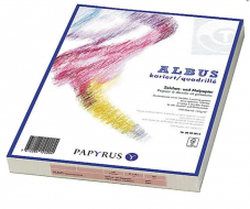 Piratenpreis - PAPYRUS Zeichenpapier A4 kariert 100 Blatt für 30 Rappen bei Ex libris (Abholpreis)