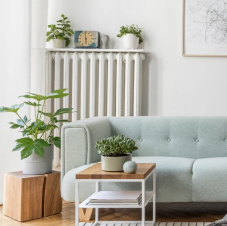 30% Rabatt auf Kunstpflanzen und Blumentöpfe (Shoperöffnung)