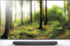 LG OLED65G8 zum Bestpreis