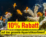 10% Rabatt auf das Aquaristiksortiment bei Qualipet