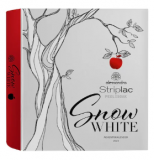 Striplac NAGELLACK Snow White Advent Calendar Adventskalender bei Import Parfumerie