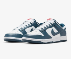 Nike Dunk Low Retro Herrenschuhe in Valerian Blau (38.5 - 49.5) zum Toppreis