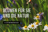 WWF Gratis Blumenmischung