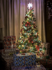 Frohe Weihnachten vom Preispirat Team!