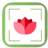 PlantDetect - Plant Identifier Pflanzenerkennung für iOS gratis