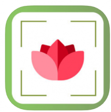 PlantDetect – Plant Identifier Pflanzenerkennung für iOS gratis