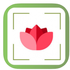 PlantDetect - Plant Identifier Pflanzenerkennung für iOS gratis