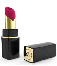 Womanizer 2 Go Auflegevibrator bei Amorana